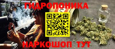 индика Гай