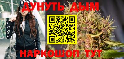 индика Гай