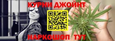 индика Гай