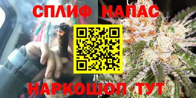 индика Гай