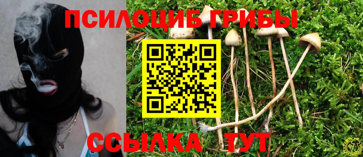 Псилоцибиновые грибы Magic Shrooms  Вход с VPN  Медногорск 
